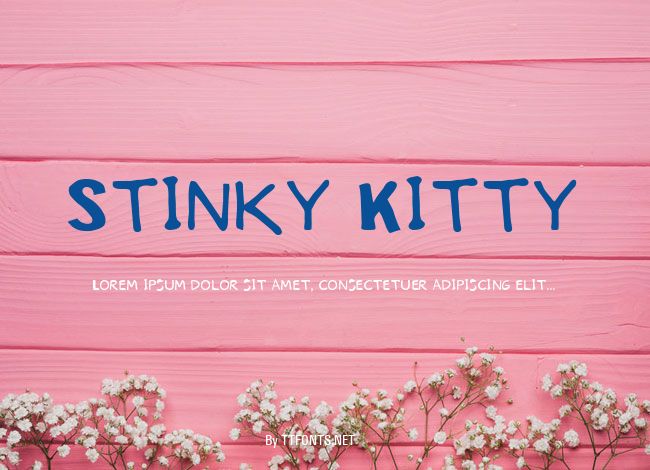 Stinky Kitty example